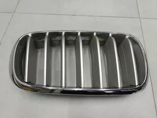 51137316054 Решетка радиатора правая BMW X6 F16 Арт ZAP344816, вид 1