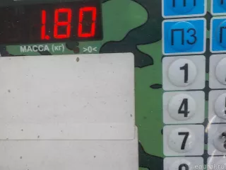 81625500022 MAN Стекло кузовное глухое правое MAN TGA Арт E36262628, вид 4