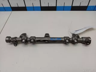 314002F000 Hyundai-Kia Топливная рампа  Hyundai Santa FE 4 (TM) restailing 2.2л Арт E70769708, вид 1