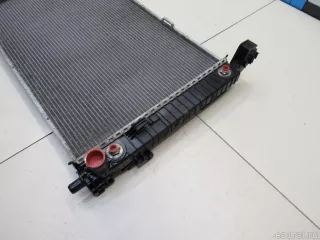 1695001803 Mercedes Benz Радиатор основной Mercedes S W221 Арт E81045213, вид 4