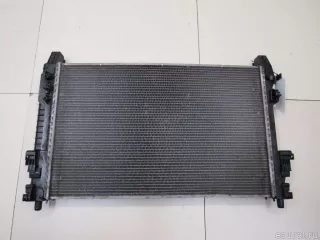 1695001803 Mercedes Benz Радиатор основной Mercedes S W221 Арт E81045213, вид 6