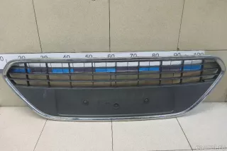 1520644 Ford Решетка в бампер центральная Ford Focus 2 restailing Арт E100511218, вид 1