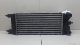 1440Q9 Citroen-Peugeot Интеркулер Citroen C5 2 Арт E70763580, вид 3