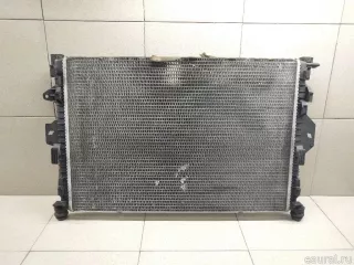 1790336 Ford Радиатор основной Ford Kuga 1 Арт E100523969, вид 6