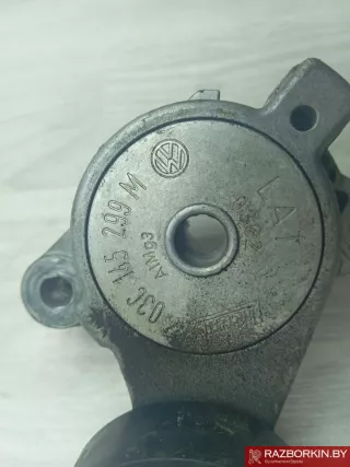 03S145299M Натяжитель ремня генератора Volkswagen Tiguan 1 Арт 34640, вид 3