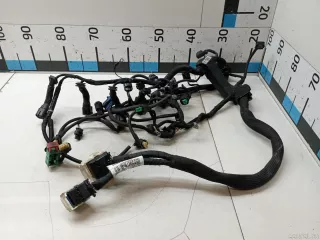 V762063380 Citroen-Peugeot Жгут проводов (Проводка) Peugeot RCZ Арт E90433140, вид 2