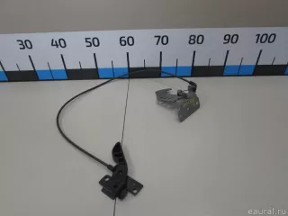51237218568 BMW Крючок для одежды BMW X4 F26 Арт E81051328, вид 1