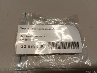 9802062 GM Патрон габаритного фонаря Opel Mokka 1 restailing Арт E23668206, вид 6