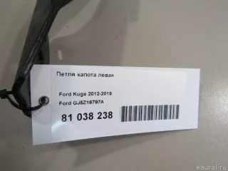 GJ5Z16797A Ford Петля капота левая Ford Escape 3 Арт E81038238, вид 6