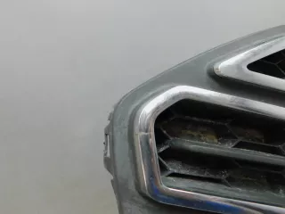  Решетка в бампер центральная Ford EcoSport Арт smt202486, вид 4