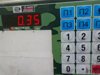 111010 Vignal Указатель поворота правый белый Volvo FH Арт E36268305, вид 8