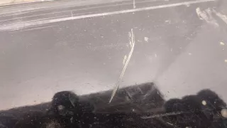  Накладка на порог Acura TL 4 Арт 20175579, вид 5