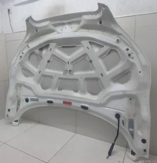 8J0823029E VAG Капот Audi TT 3 Арт E95743560, вид 11