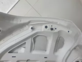 8J0823029E VAG Капот Audi TT 3 Арт E95743560, вид 15