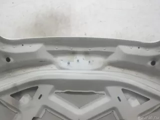 8J0823029E VAG Капот Audi TT 3 Арт E95743560, вид 16