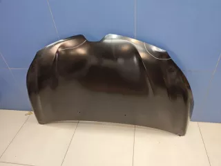 STRN160150CN Капот Renault Kaptur Арт ZAP345153, вид 4