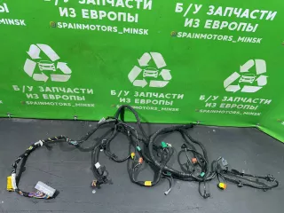 148906005C Проводка салона Tesla model 3 Арт 2000000033845, вид 1