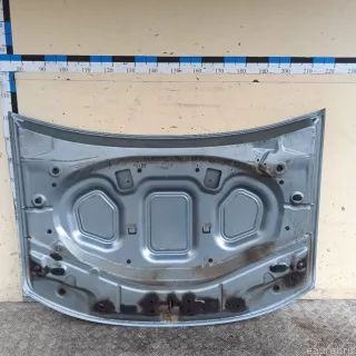 651000987R Renault Капот Renault Duster 2 Арт E23701864, вид 5