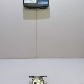 804209726R Renault Петля двери Renault Dokker Арт E23695095, вид 7