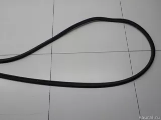 5N0837702A5AP VAG Уплотнитель двери Volkswagen Tiguan 1 Арт E31658788, вид 2