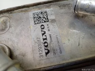 31293917 Volvo Радиатор масляный Volvo v90 Cross Country 2 Арт E70779735, вид 2