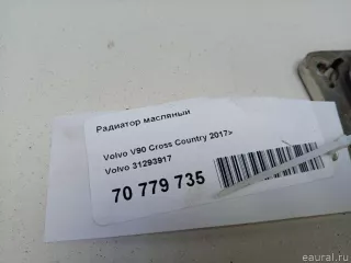 31293917 Volvo Радиатор масляный Volvo v90 Cross Country 2 Арт E70779735, вид 8