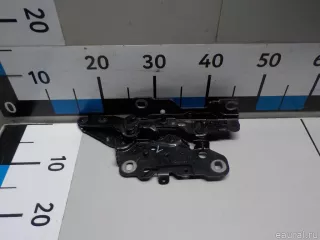 41617475791 BMW Петля капота левая BMW X3 G01 Арт E52512436, вид 1