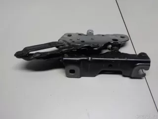 41617475791 BMW Петля капота левая BMW X3 G01 Арт E52512436, вид 7