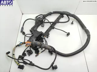 7529696 Проводка двигателя BMW 5 E60/E61 Арт 55026345, вид 1