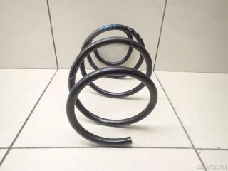 31331093069 BMW Передняя пружина подвески BMW X5 E53 Арт E95749987, вид 4