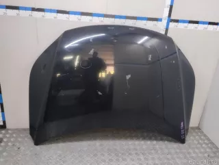 5N0823031D VAG Капот Volkswagen Tiguan 1 Арт E23716440, вид 1