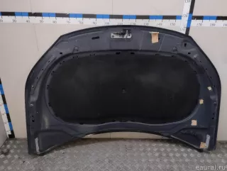 5N0823031D VAG Капот Volkswagen Tiguan 1 Арт E23716440, вид 12