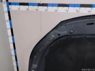 5N0823031D VAG Капот Volkswagen Tiguan 1 Арт E23716440, вид 14