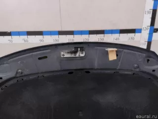 5N0823031D VAG Капот Volkswagen Tiguan 1 Арт E23716440, вид 15