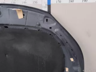 5N0823031D VAG Капот Volkswagen Tiguan 1 Арт E23716440, вид 16