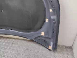 5N0823031D VAG Капот Volkswagen Tiguan 1 Арт E23716440, вид 17