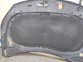 5N0823031D VAG Капот Volkswagen Tiguan 1 Арт E23716440, вид 18