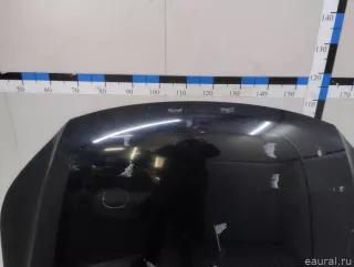 5N0823031D VAG Капот Volkswagen Tiguan 1 Арт E23716440, вид 4