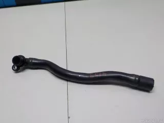 03C103493AM VAG Картер Volkswagen Jetta 5 Арт E52524159, вид 5