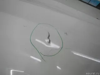41627161677 BMW Дверь багажника нижняя BMW X5 E70 Арт E70781154, вид 4