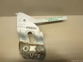 7P6823302 VAG Петля капота правая Volkswagen Touareg 2 Арт E95753219, вид 1