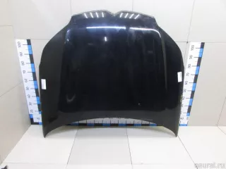 7901P3 Citroen-Peugeot Капот Citroen C5 2 Арт E81070156, вид 1