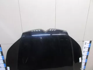 7901P3 Citroen-Peugeot Капот Citroen C5 2 Арт E81070156, вид 2