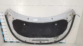 FB5Z16612A Ford Капот Ford Explorer 5 restailing Арт E70783897, вид 18
