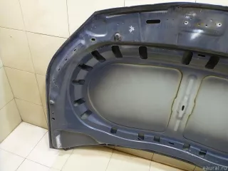 5N0823031D VAG Капот Volkswagen Tiguan 1 Арт E100546332, вид 11