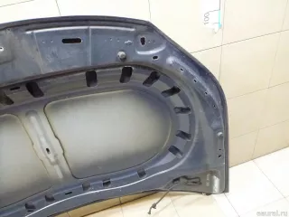 5N0823031D VAG Капот Volkswagen Tiguan 1 Арт E100546332, вид 12