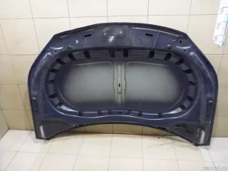 5N0823031D VAG Капот Volkswagen Tiguan 1 Арт E100546332, вид 10