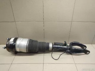 1663206713 Mercedes Benz Амортизатор передний левый Mercedes S C217 Арт E100541473, вид 1