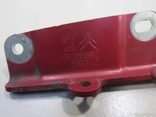 7912F5 Citroen-Peugeot Петля капота правая Citroen C3 Picasso restailing Арт E81070324, вид 4