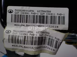 5820200XKW09A Подушка безопасности пассажирская (в торпедо) Haval H9 Арт AM41201965, вид 4